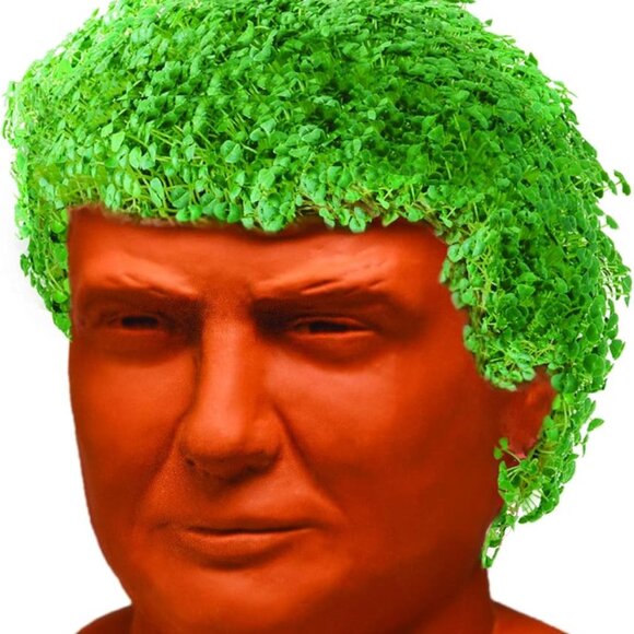 BRAND NEW GIFT PICK Chia Pet Donald Trump with Chia Seed Pack & Planter SET - Picture 2 of 4